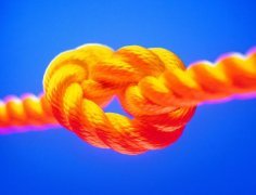勞務(wù)派遣--全程、轉(zhuǎn)移、減員、項(xiàng)目及試用派遣
